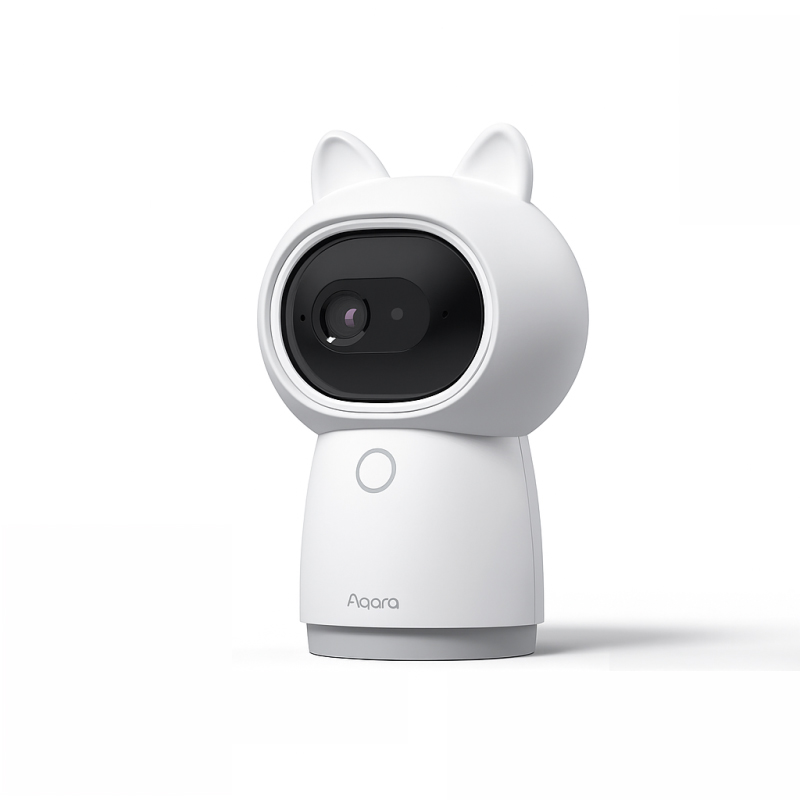 Security & Protection